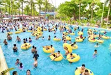 Công viên Nước Hồ Tây mở cửa mùa hè 2026 với giá vé ưu đãi 98.000 đồng
