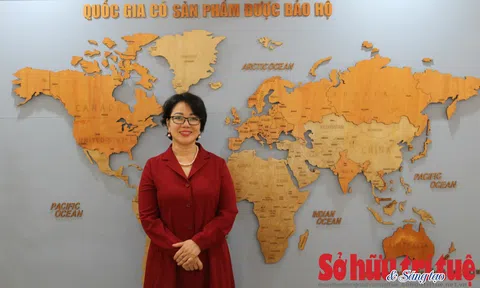 Bác sĩ Phạm Thị Kim Loan: Sáng chế là cuộc hành trình khai phá vùng đất mới