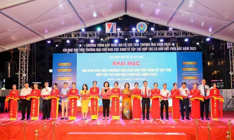 Gần 300 gian hàng tham gia Hội chợ xúc tiến thương mại kinh tế tập thể, HTX khu vực phía Bắc năm 2023