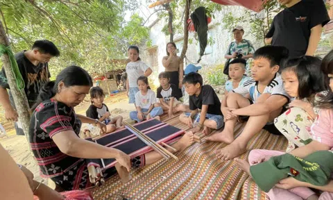 Người trẻ nhạy bén đổi mới trong phát triển kinh tế tập thể