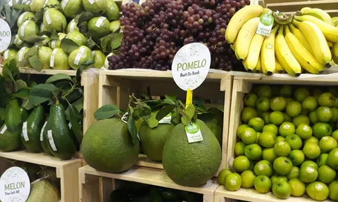 Việt Nam đứng thứ hai trong xuất khẩu rau quả sang Trung Quốc