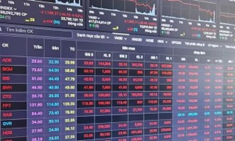 Xử phạt Công ty cổ phần In sách giáo khoa Hòa Phát