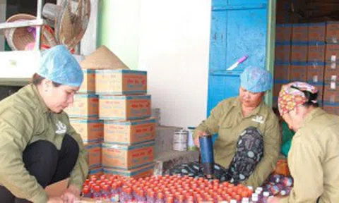 Nam Định: Khuyến khích phát triển nghề chế biến thủy hải sản