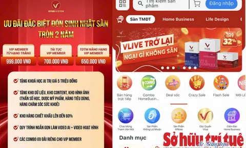 Vitus System: Cảnh báo của chuyên gia pháp lý khi tham gia hoạt động của sàn TMĐT không phép