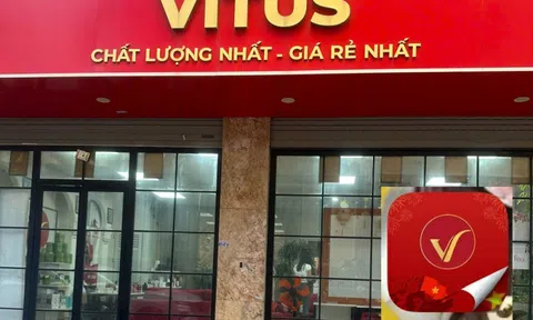 Vitus System: Sàn thương mại điện tử không phép và câu hỏi về trách nhiệm quản lý?