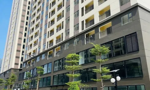 Nhà ở xã hội: Cần cơ chế đủ mạnh để doanh nghiệp yên tâm đầu tư dài hạn