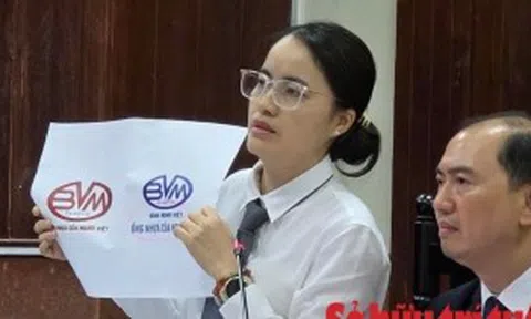 Từ 'cơ chế tài phán chuyên sâu' đến vụ Nhựa Bình Minh: Ai xử sở hữu trí tuệ?
