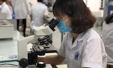 Việt Nam quyết tâm vào nhóm 4 nước dẫn đầu ASEAN về chỉ số đổi mới sáng tạo năm 2023