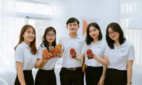 Sinh viên khởi nghiệp với 'trà chữa lành' từ nấm thủy sâm
