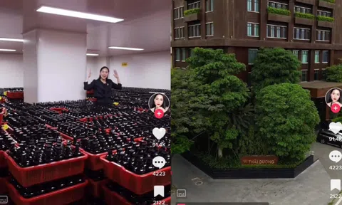 Sao Thái Dương hứng bão 1 sao sau thông báo của Võ Hà Linh