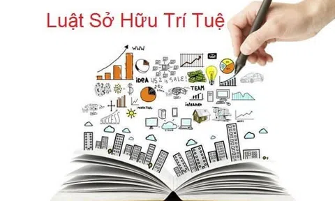Doanh nghiệp đối mặt với những thách thức trong việc bảo vệ quyền sở hữu trí tuệ trên sàn thương mại điện tử