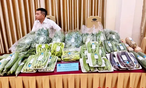 Đà Nẵng: Ứng dụng chuyển đổi số vào truy xuất nguồn gốc sản phẩm chủ lực