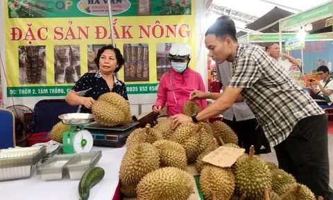 Kết nối tiêu thụ sản phẩm trái cây, nông sản mùa vụ giữa Thủ đô và các tỉnh thành