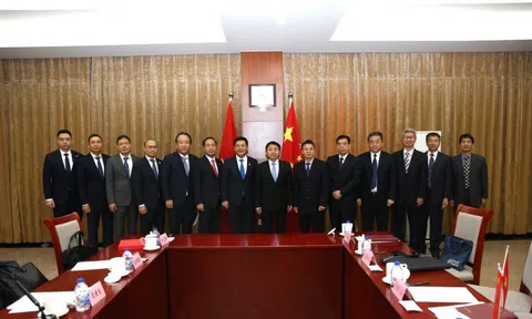 Việt Nam - Trung Quốc phối hợp xử lý vi phạm trong lĩnh vực sở hữu trí tuệ, gian lận thương mại