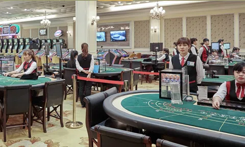 Công ty đứng sau casino lớn nhất Quảng Ninh báo lỗ triền miên