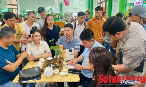 Lễ hội sâm Ngọc Linh lần thứ 5: Ngăn chặn sâm giả, cam kết chất lượng