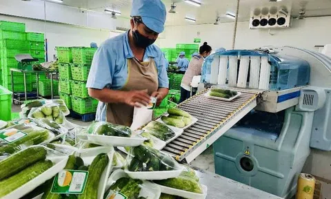 Cơ giới hóa nông nghiệp tại Quảng Ninh: Bước phát triển đáng khích lệ