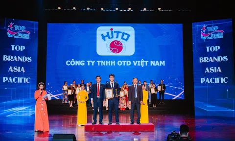 Hito Việt Nam và chuỗi thành tích ấn tượng