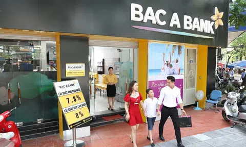 Những rủi ro nào được NHNN cảnh báo tại ngân hàng Bắc Á - chi nhánh Bình Dương sau thanh tra?