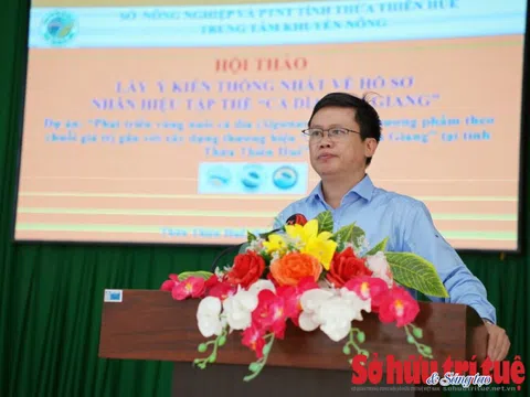 Tập trung xây dựng thương hiệu cho đặc sản ‘Cá Dìa Tam Giang’