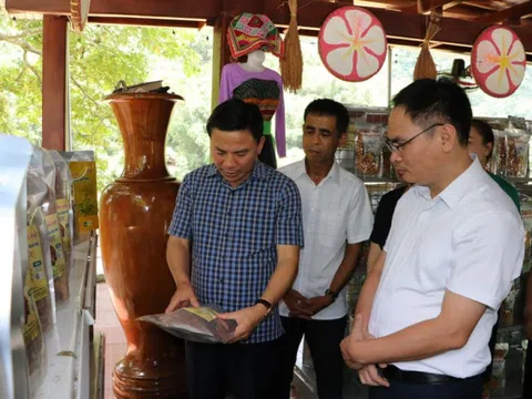 Măng khô OCOP Mường Cada không ngừng vươn xa