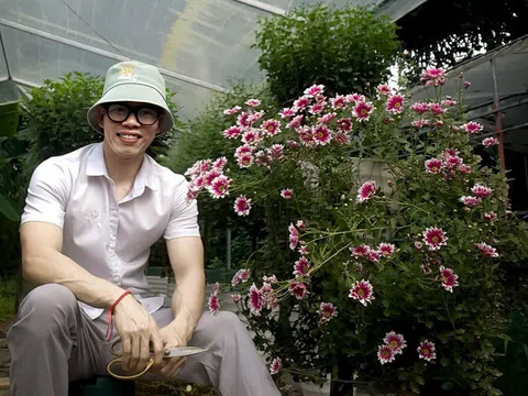 Hà Tĩnh chàng trai 9x khởi nghiệp thành công từ một loại hoa