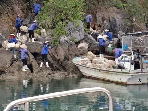 Vân Đồn - Quảng Ninh: Phát triển kinh tế gắn với bảo vệ môi trường