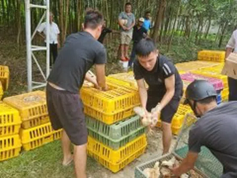 Phát huy vai trò từ những dự án giảm nghèo tại Thanh Hóa