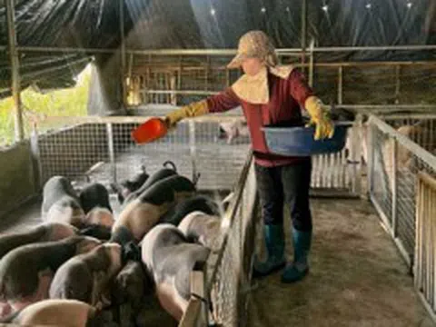 Ứng dụng KHCN vào sản xuất: Hướng tới xây dựng nền nông nghiệp phát triển bền vững