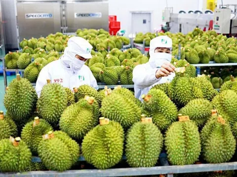 4 chính sách giúp phát triển nhãn hiệu, thương hiệu nông sản Việt Nam