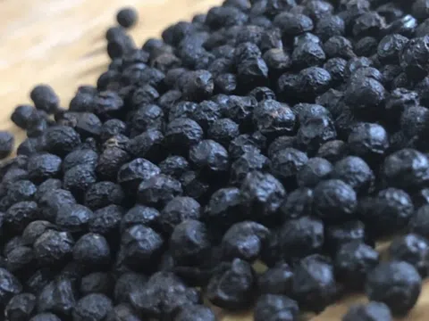 ‘Vàng đen’ Việt Nam sốt giá