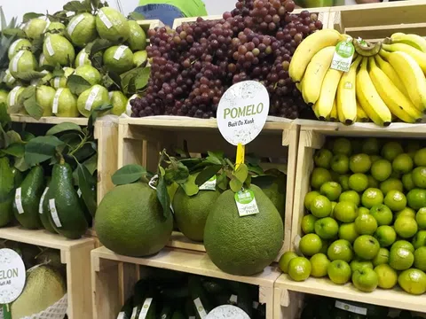 Việt Nam đứng thứ hai trong xuất khẩu rau quả sang Trung Quốc