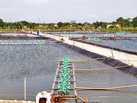Thanh Hóa: Huyện Yên Định nuôi thủy sản gắn với an toàn thực phẩm