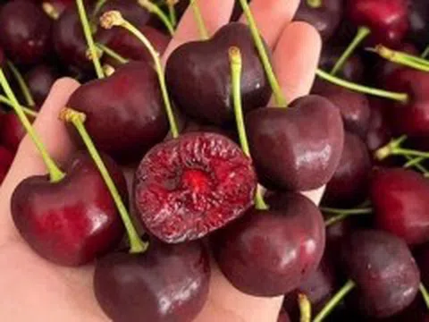 Cherry nhập ngoại giá 'rẻ chưa như cho' tràn lan ngoài thị trường, liệu có nên mua?