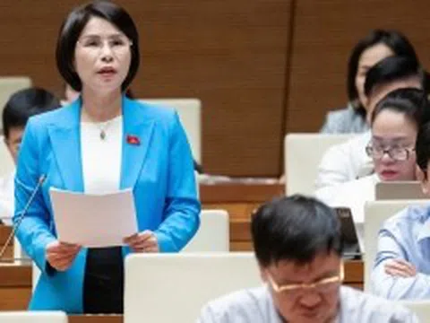 Nên mạnh dạn bỏ đấu thầu, áp dụng cơ chế đặt hàng trong nghiên cứu khoa học