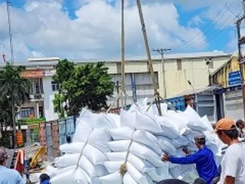 Giá gạo xuất khẩu liên tục 'rớt'