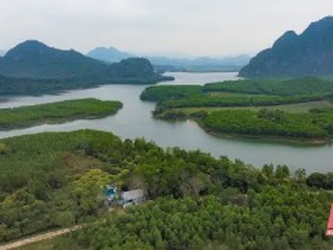 Vùng đệm Vườn quốc gia Bến En phát triển mô hình nuôi ong lấy mật