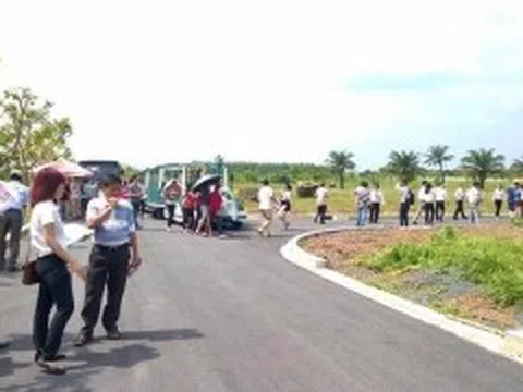 Rộn ràng đấu giá đất những tháng đầu năm 2025 tại Thanh Hóa