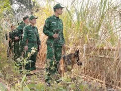 Móng Cái: Siết chặt quản lý biên giới, cửa khẩu