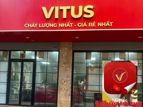 Vitus System: Sàn thương mại điện tử không phép và câu hỏi về trách nhiệm quản lý?