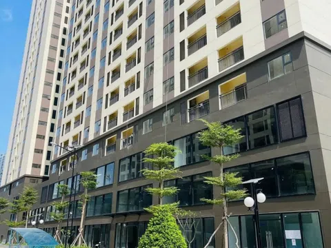 Nhà ở xã hội: Cần cơ chế đủ mạnh để doanh nghiệp yên tâm đầu tư dài hạn