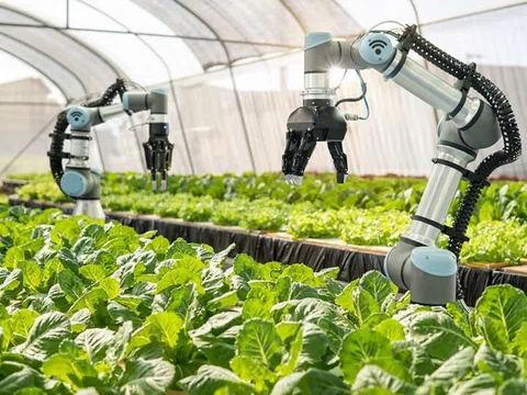 Vốn mạo hiểm cho công nghệ nông nghiệp và thực phẩm giảm mạnh