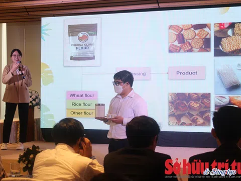 Mô hình vườn ươm trong trường đại học: Thúc đẩy khởi nghiệp đổi mới sáng tạo