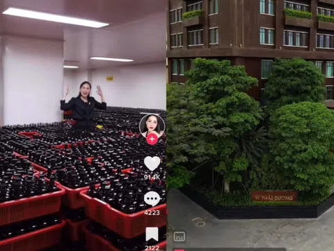 Sao Thái Dương hứng bão 1 sao sau thông báo của Võ Hà Linh