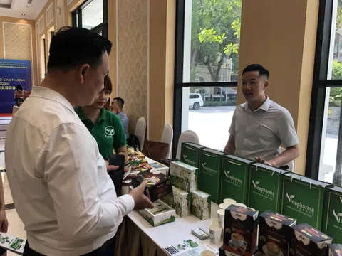 Xúc tiến Thương mại, Đầu tư và kết nối giao thương Việt Nam - Trung Quốc