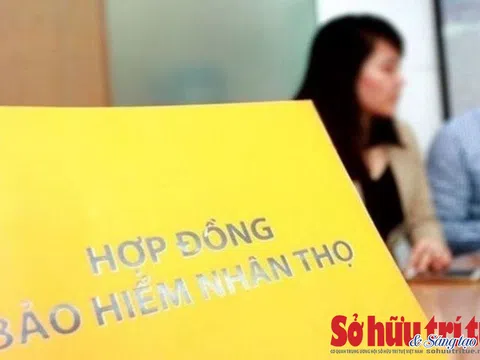 Bảo hiểm nhân thọ dưới một góc nhìn: Bảo hiểm rất thiết yếu