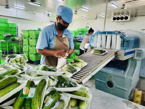 Cơ giới hóa nông nghiệp tại Quảng Ninh: Bước phát triển đáng khích lệ