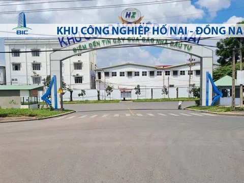 Công ty Khu Công nghiệp Hố Nai: Chiếm hơn 87.000m2 đất, gánh khối nợ khổng lồ