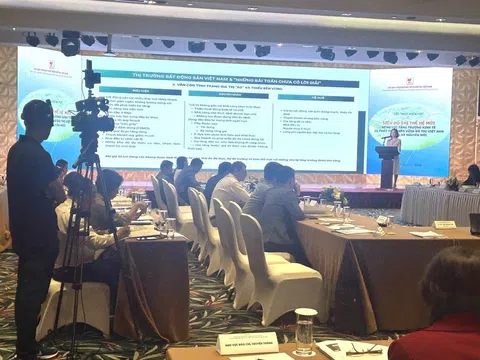 Siêu đô thị thế hệ mới: Động lực tăng trưởng đột phá và bền vững cho đô thị Việt Nam