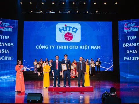Hito Việt Nam và chuỗi thành tích ấn tượng